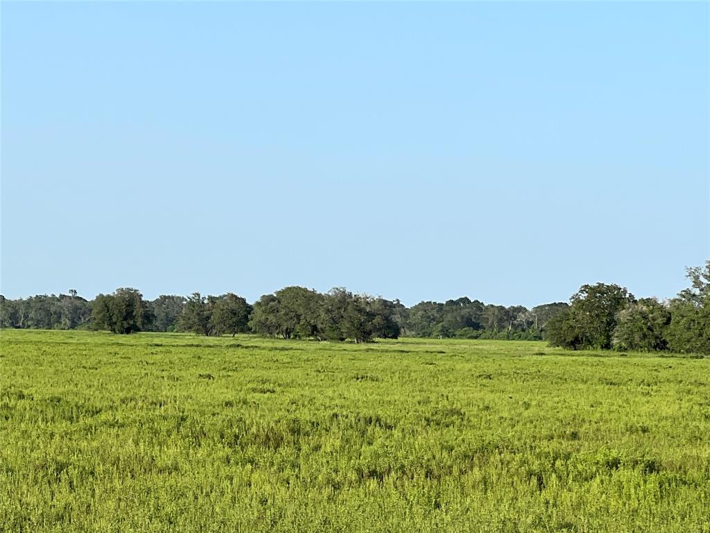 00 County Road 394, El Campo, Texas image 3