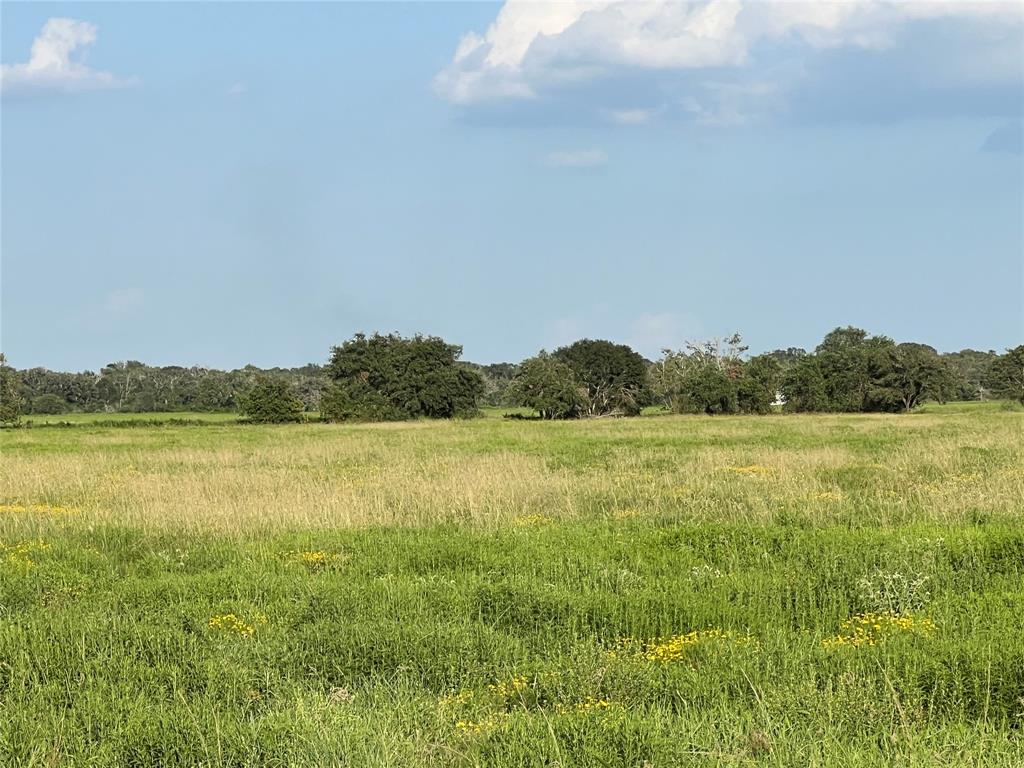 00 County Road 394, El Campo, Texas image 9