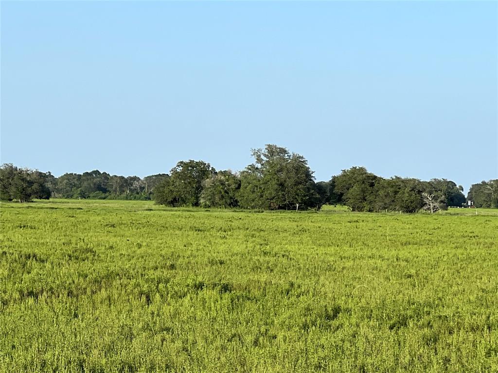 00 County Road 394, El Campo, Texas image 5