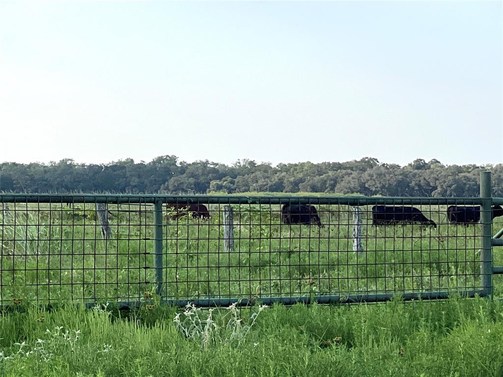 00 County Road 394, El Campo, Texas image 32