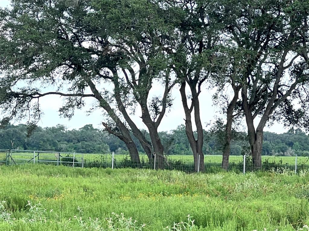 00 County Road 394, El Campo, Texas image 10