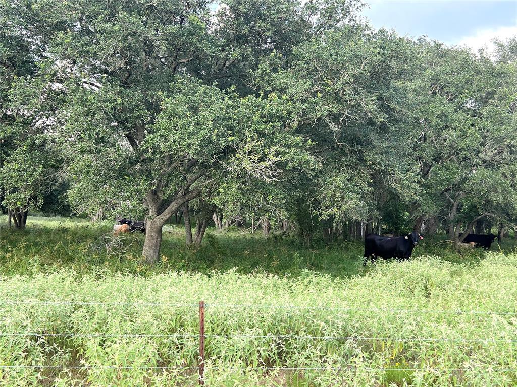 00 County Road 394, El Campo, Texas image 21