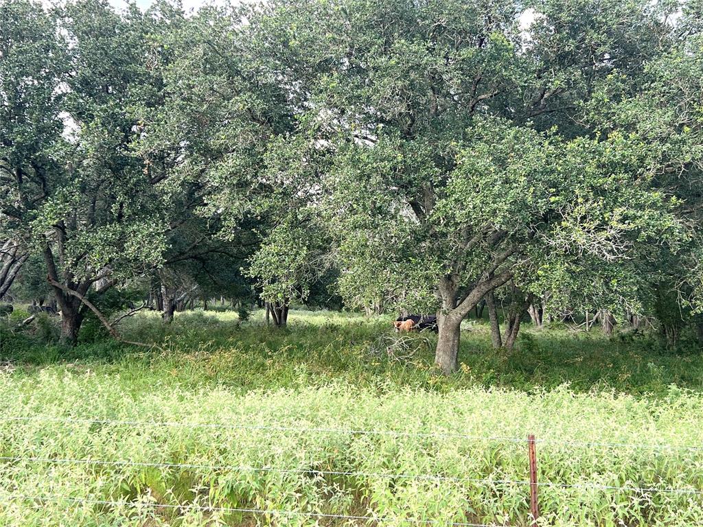 00 County Road 394, El Campo, Texas image 6