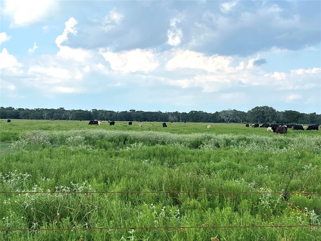 00 County Road 394, El Campo, Texas image 8