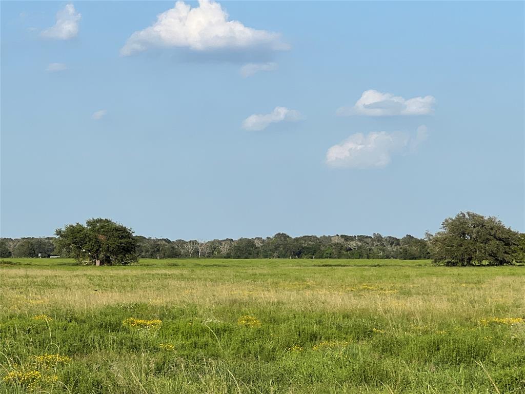 00 County Road 394, El Campo, Texas image 19