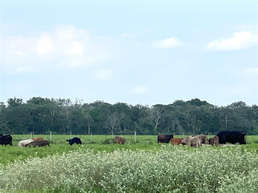 00 County Road 394, El Campo, Texas image 25