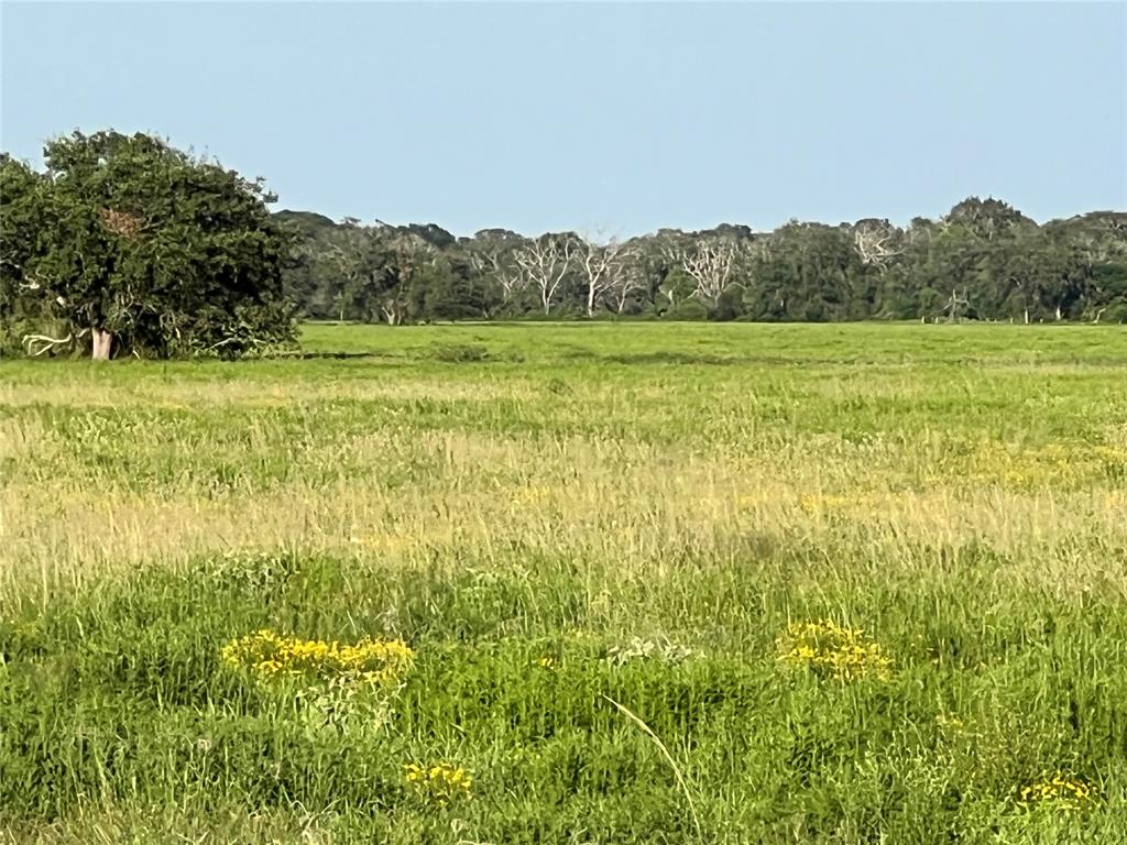 00 County Road 394, El Campo, Texas image 11