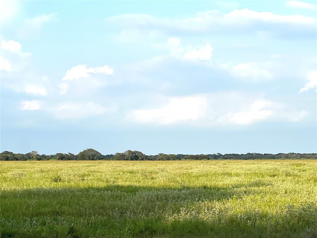 00 County Road 394, El Campo, Texas image 14