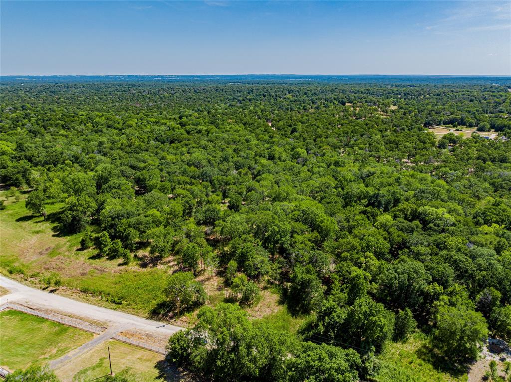 TBD Private Road, Snook, Texas image 8