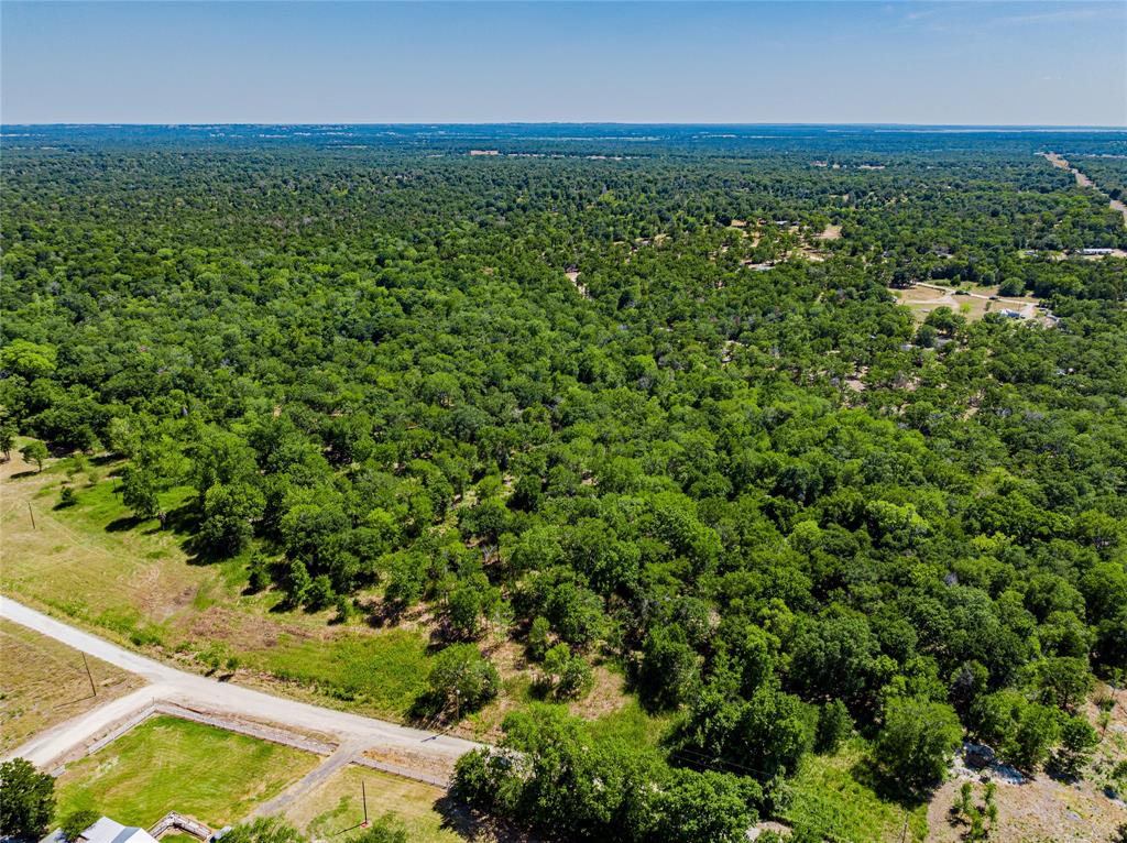 TBD Private Road, Snook, Texas image 7