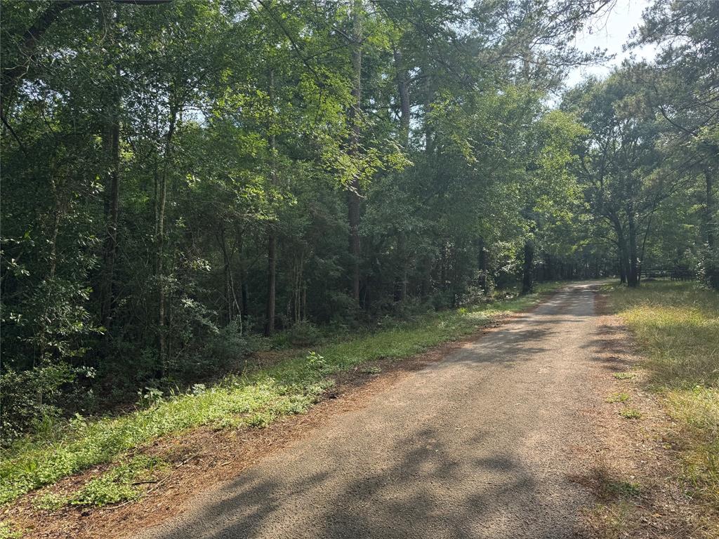 00000 Sunset Drive, Hockley, Texas image 6