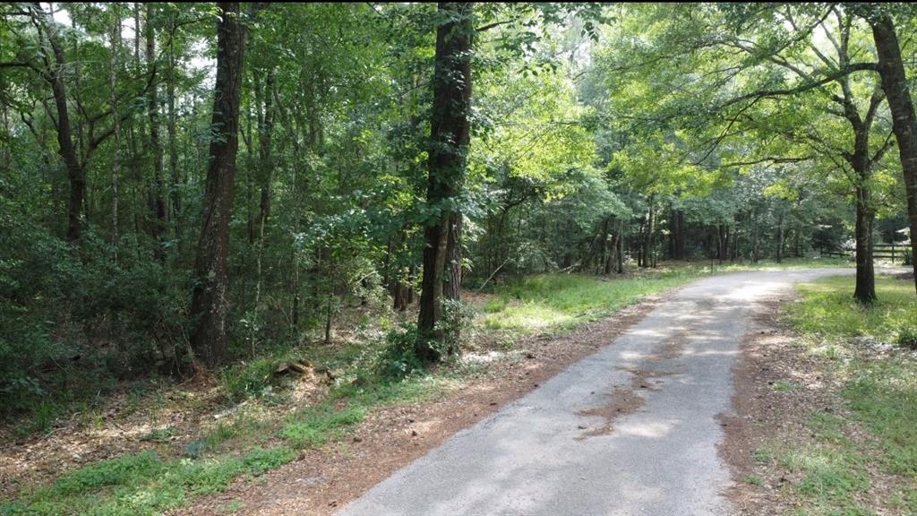 00000 Sunset Drive, Hockley, Texas image 1