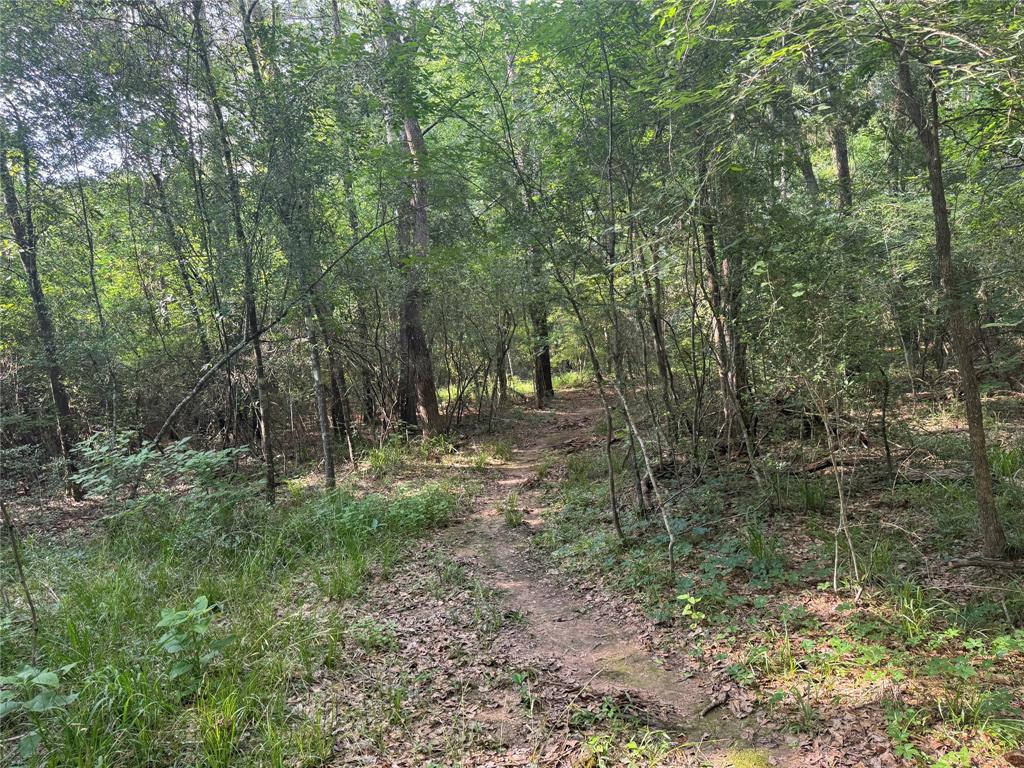 00000 Sunset Drive, Hockley, Texas image 3