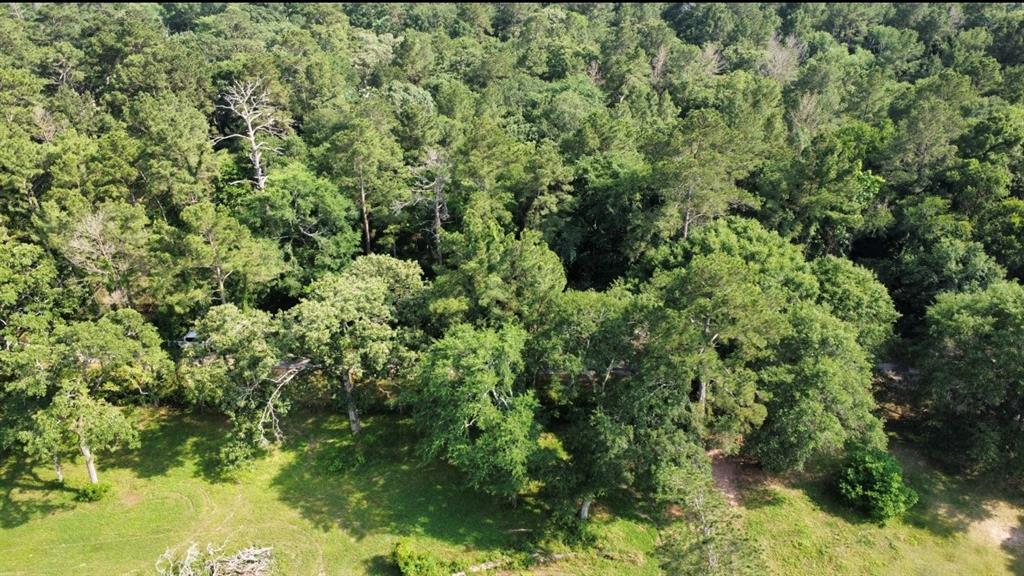 00000 Sunset Drive, Hockley, Texas image 4