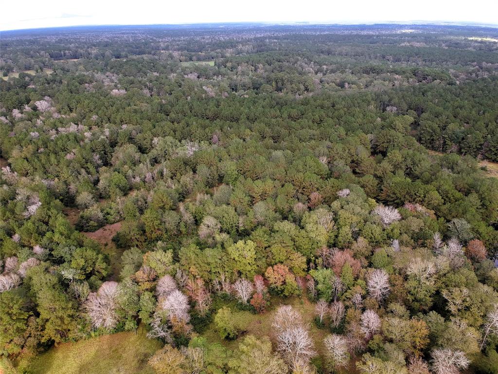 TBD County Road 4392, Spurger, Texas image 8