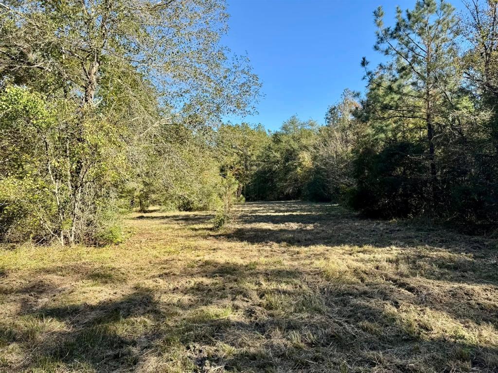 TBD County Road 4392, Spurger, Texas image 7