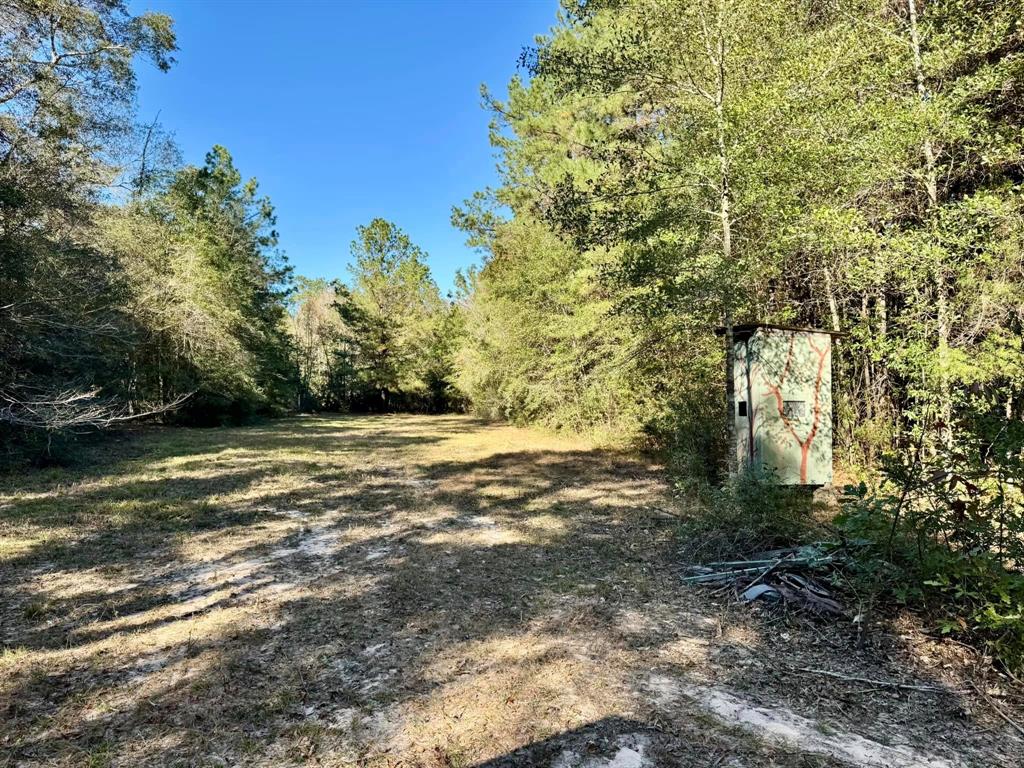 TBD County Road 4392, Spurger, Texas image 6