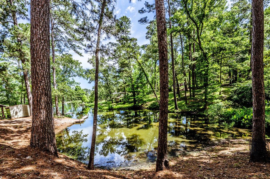 44 Post Oak Drive, Huntsville, Texas image 37