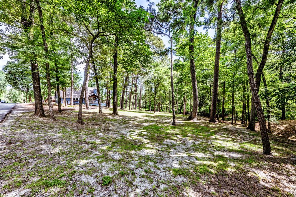 44 Post Oak Drive, Huntsville, Texas image 41