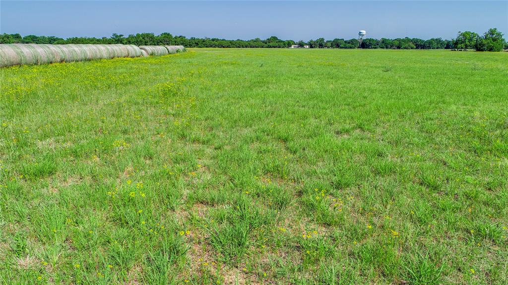 Bamore Road, Rosenberg, Texas image 10