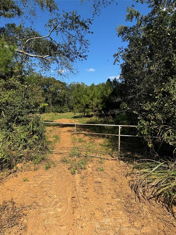 TBD Cr 2120, Crockett, Texas image 14