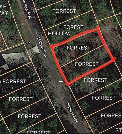 Vacant Land For Sale - Forest Hollow<br/> Trinity, TX 75862
