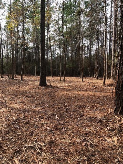 Photo of 13 Pr 8725, Woodville, TX 75979 (MLS # 49397509) Photo of 13 Pr 8725, Woodville, TX 75979 (MLS # 49397509)