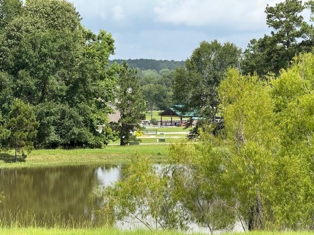 37 Silver Lakes Drive, Huntsville, Texas image 9