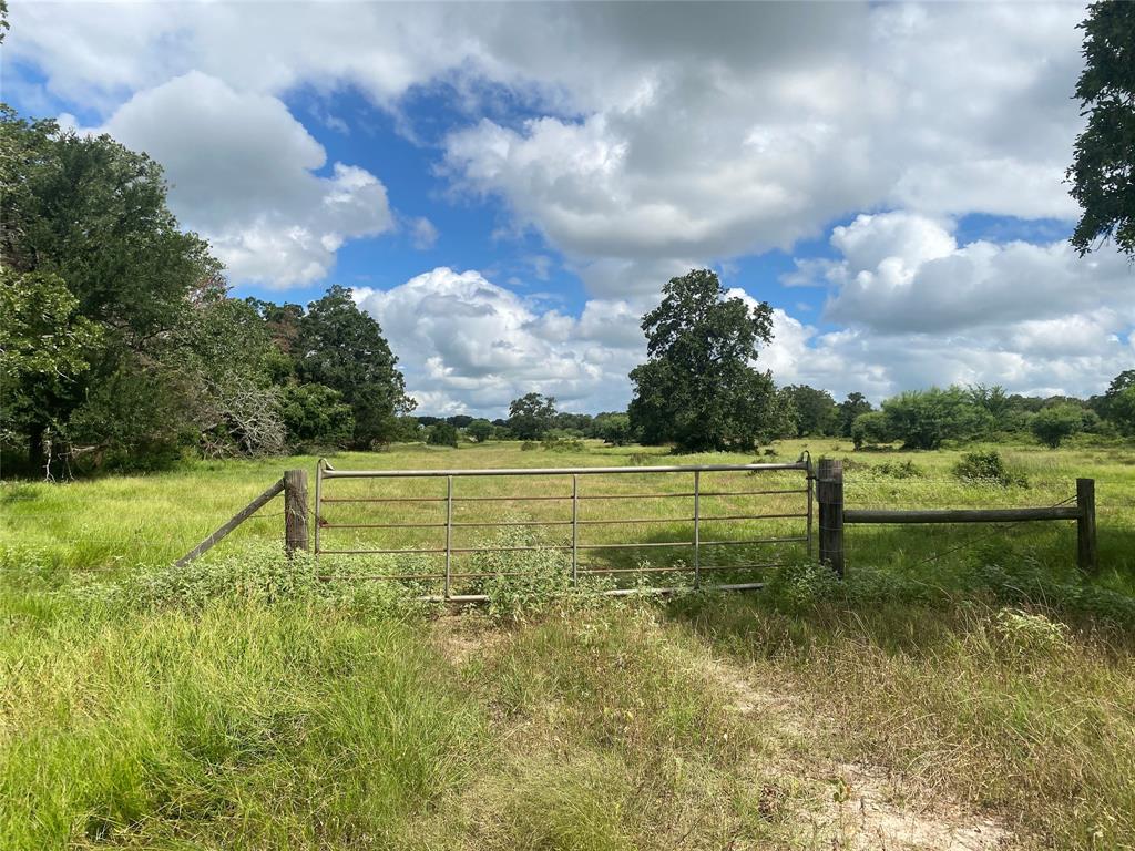 000 Ilo Ranch Road, Carmine, Texas image 14