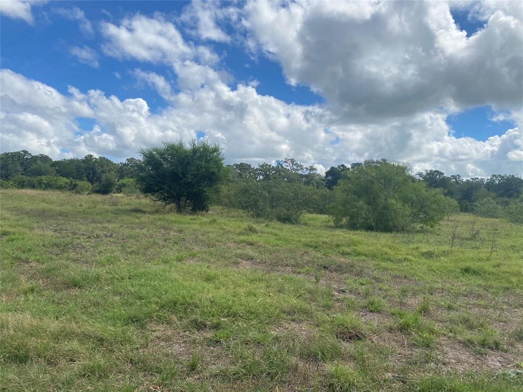 000 Ilo Ranch Road, Carmine, Texas image 30