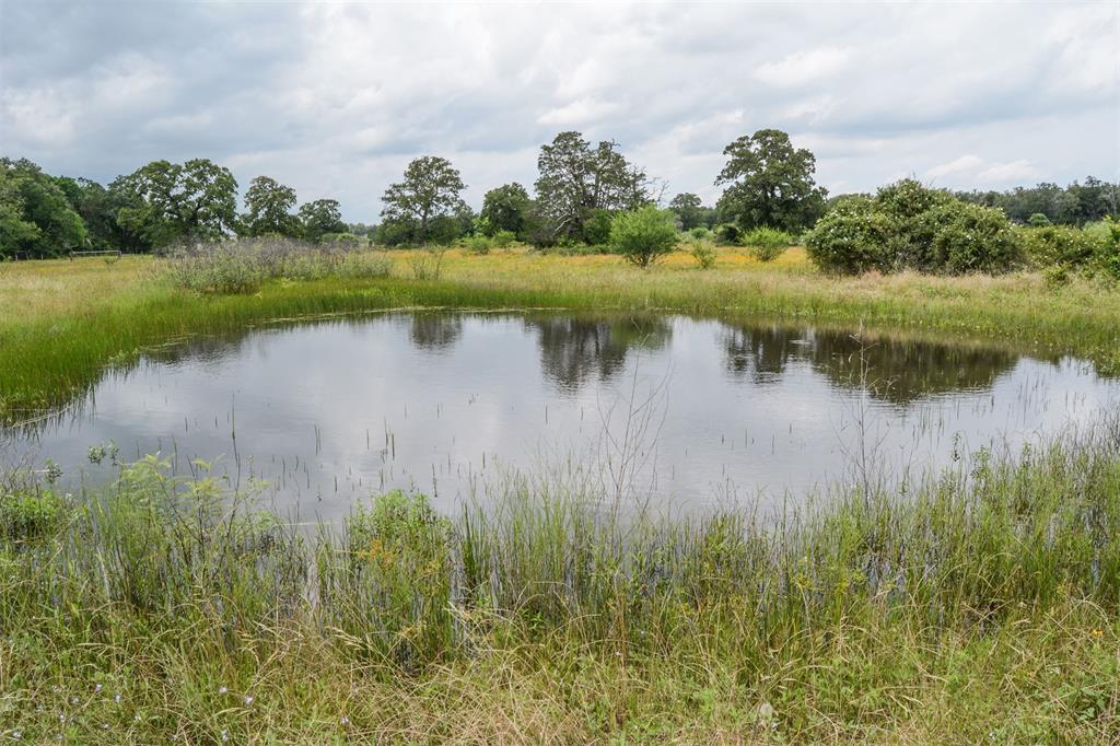 000 Ilo Ranch Road, Carmine, Texas image 8