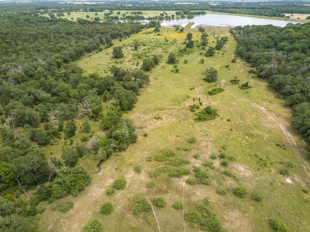 000 Ilo Ranch Road, Carmine, Texas image 5