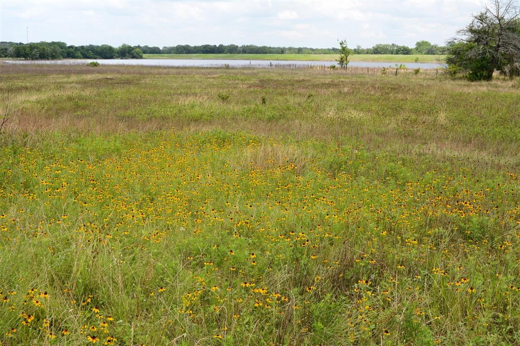 000 Ilo Ranch Road, Carmine, Texas image 32