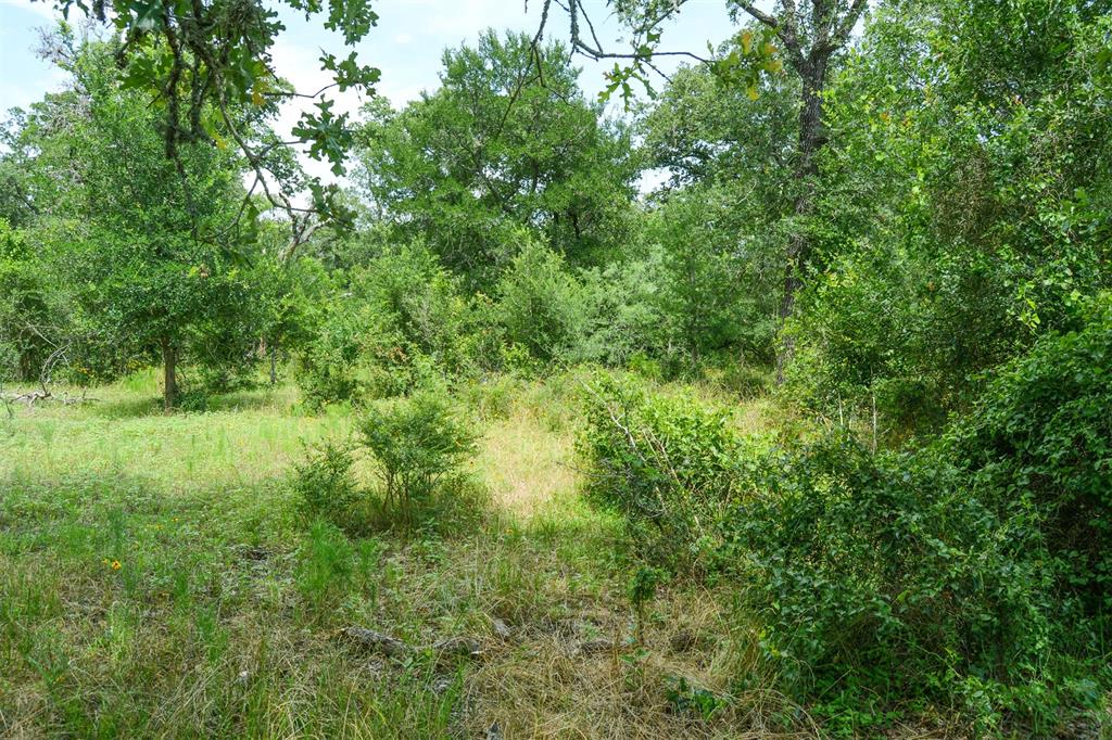 000 Ilo Ranch Road, Carmine, Texas image 12