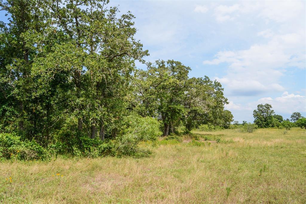 000 Ilo Ranch Road, Carmine, Texas image 10