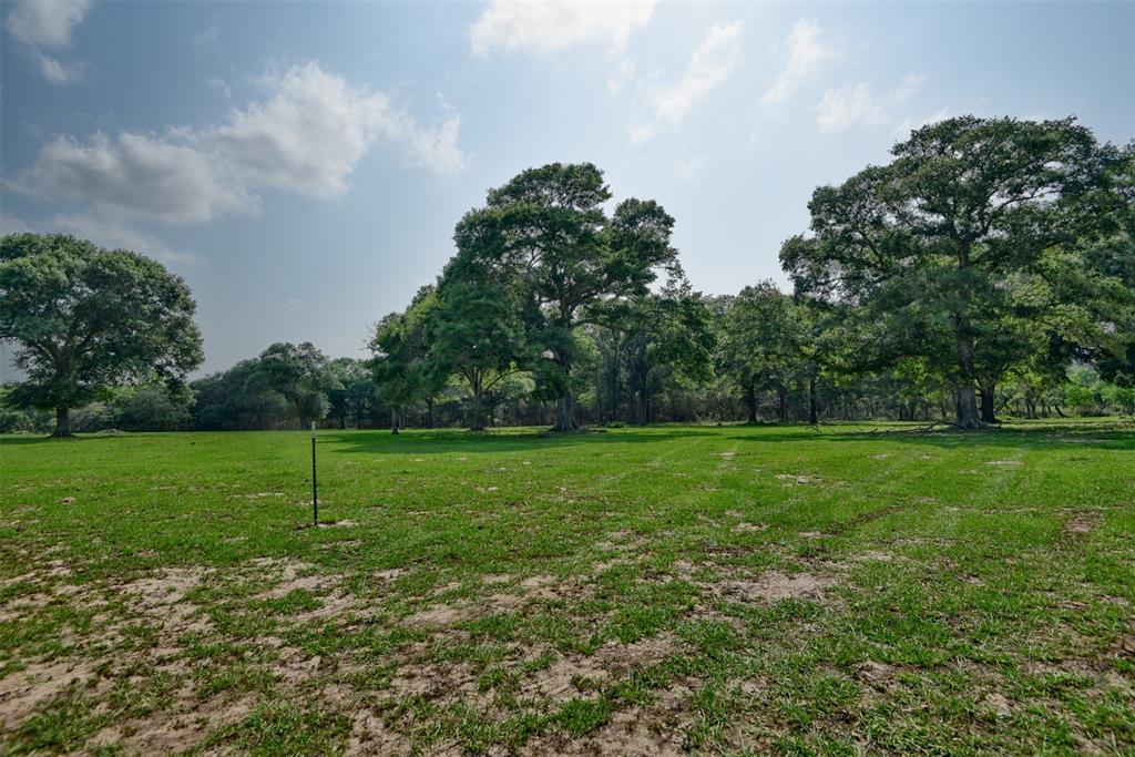 16929 Hinkel Road, Cat Spring, Texas image 9