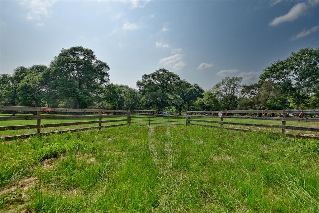 16929 Hinkel Road, Cat Spring, Texas image 7