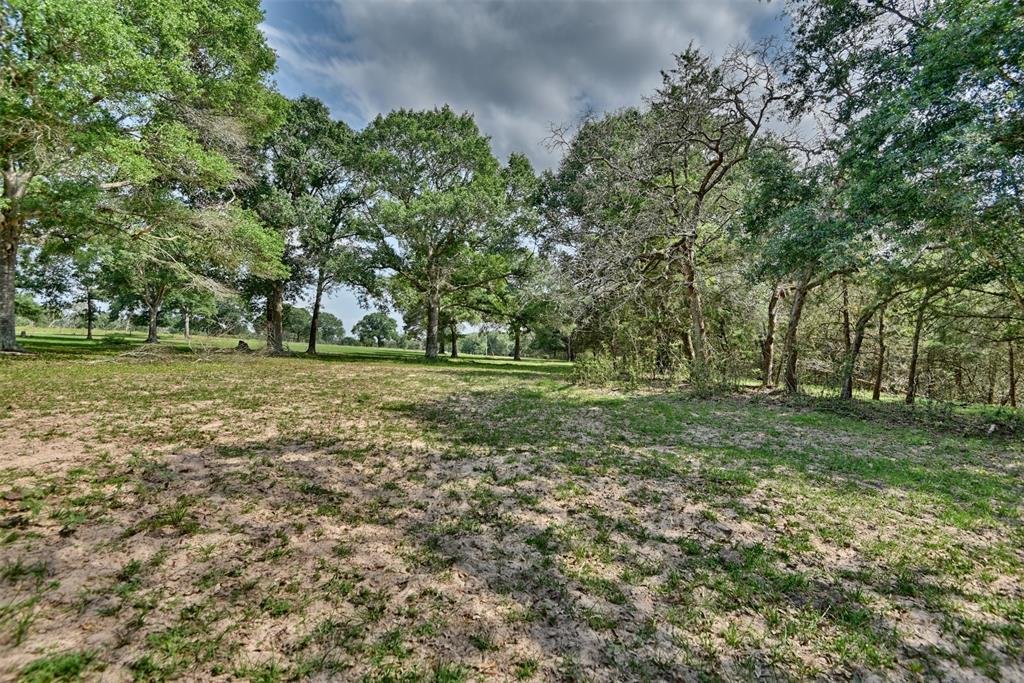 16929 Hinkel Road, Cat Spring, Texas image 13