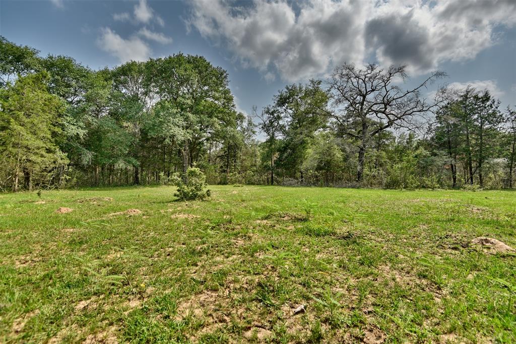 16929 Hinkel Road, Cat Spring, Texas image 12