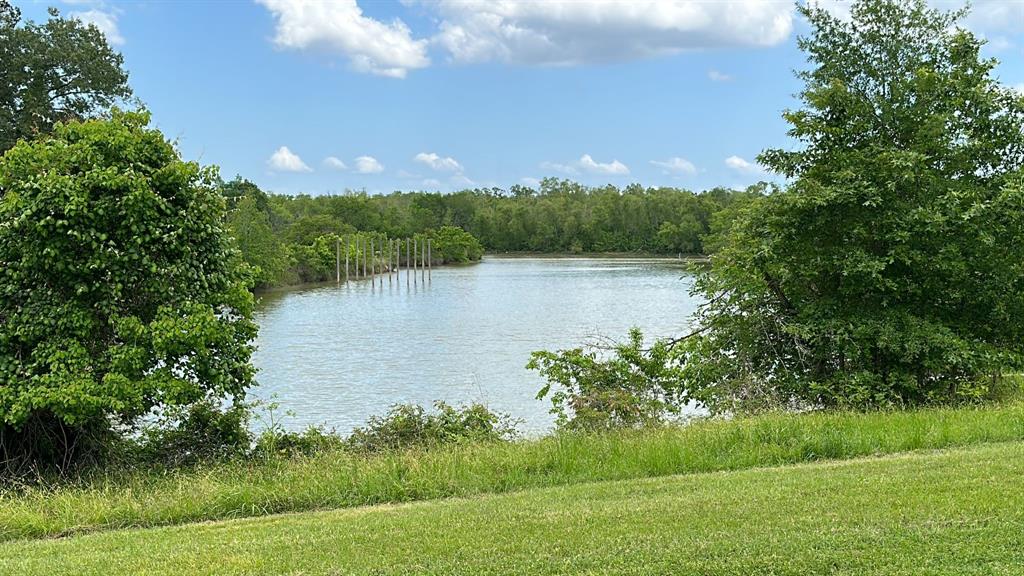 Lot 4 San Soucie Way, Trinity, Texas image 6