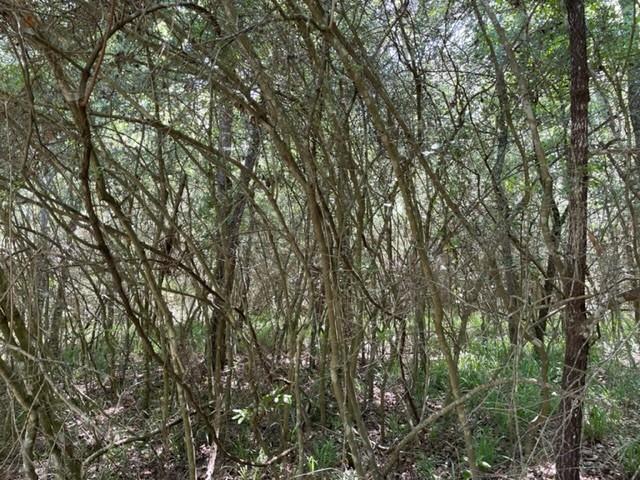 Tbd Fm 2854, Montgomery, Texas image 13