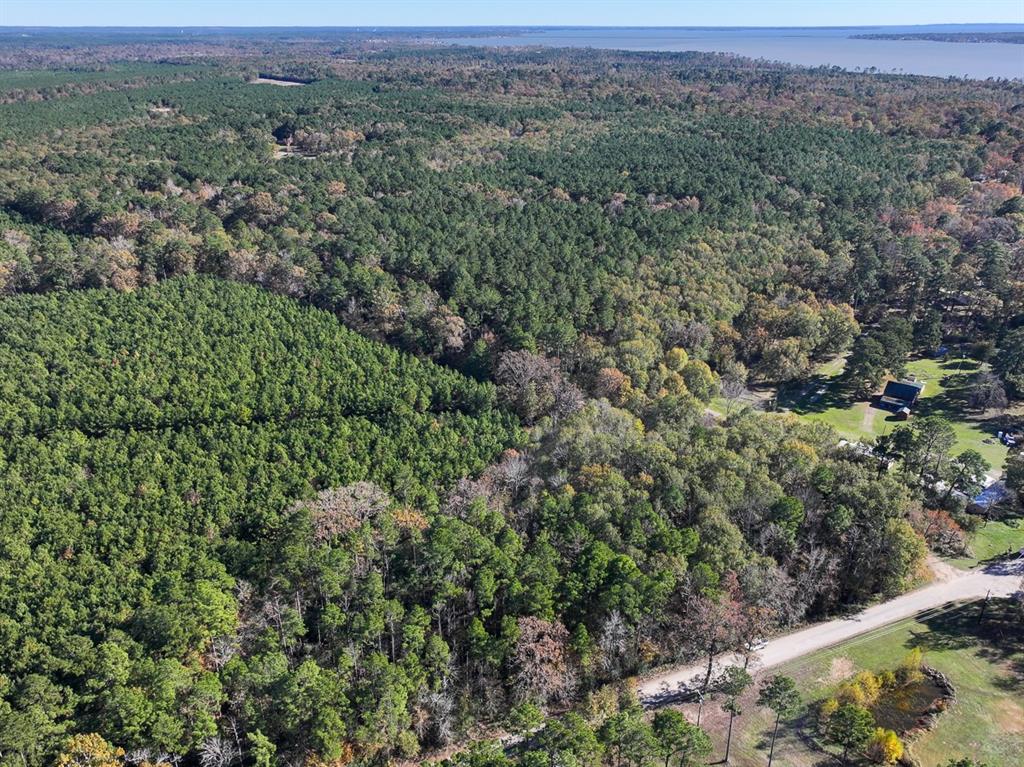 Camp Branch Road, Trinity, Texas image 5