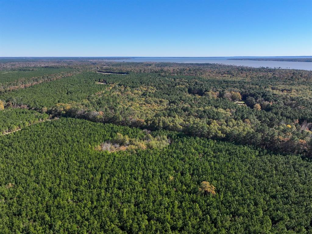 Camp Branch Road, Trinity, Texas image 14