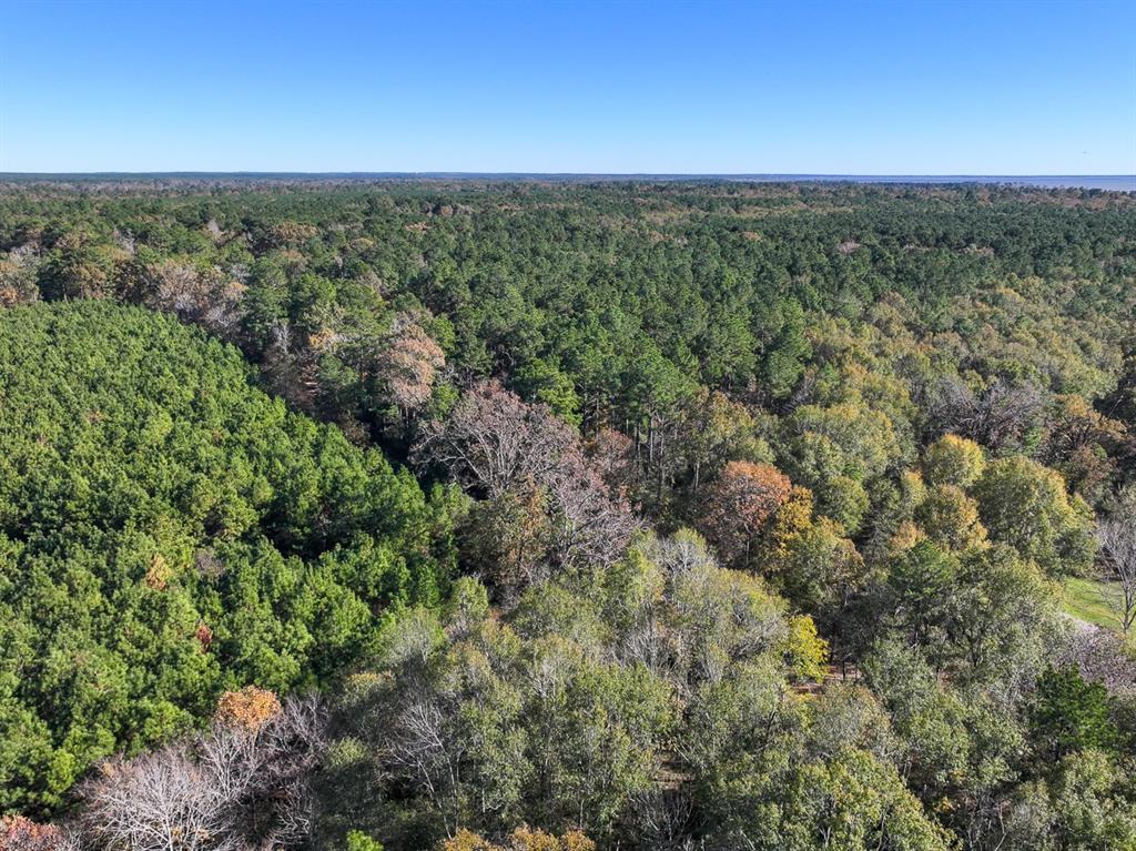 Camp Branch Road, Trinity, Texas image 19