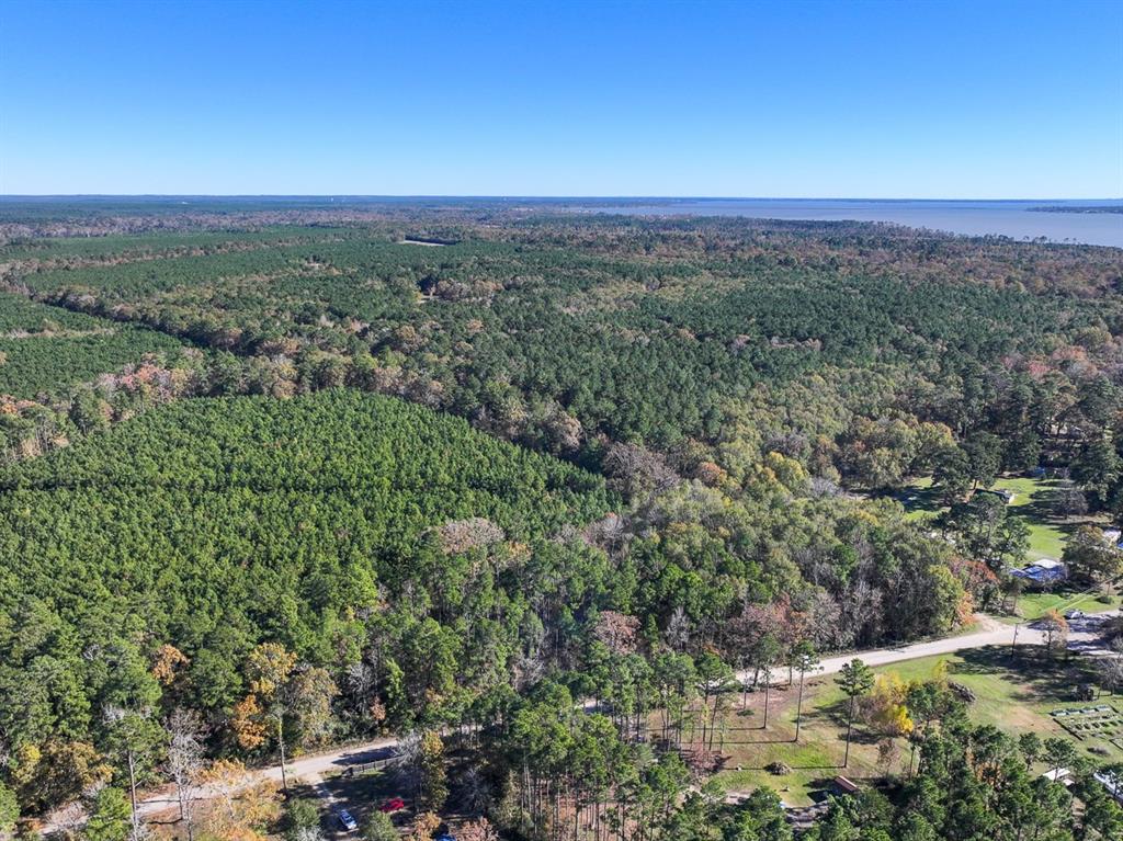 Camp Branch Road, Trinity, Texas image 9