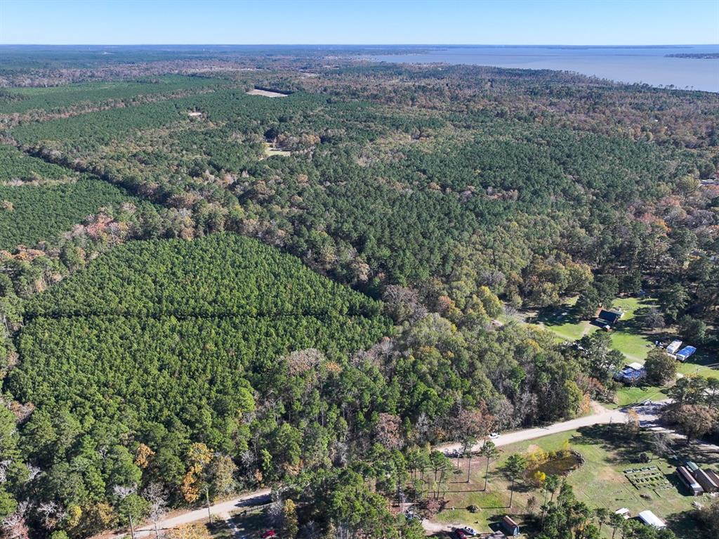 Camp Branch Road, Trinity, Texas image 8