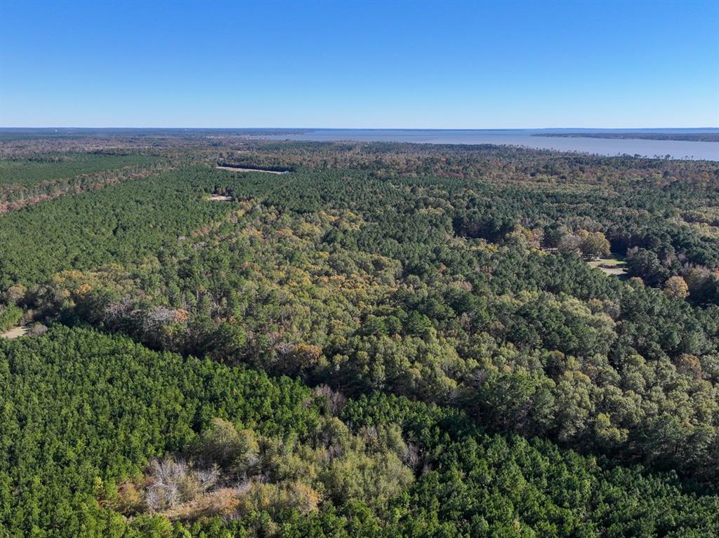 Camp Branch Road, Trinity, Texas image 15