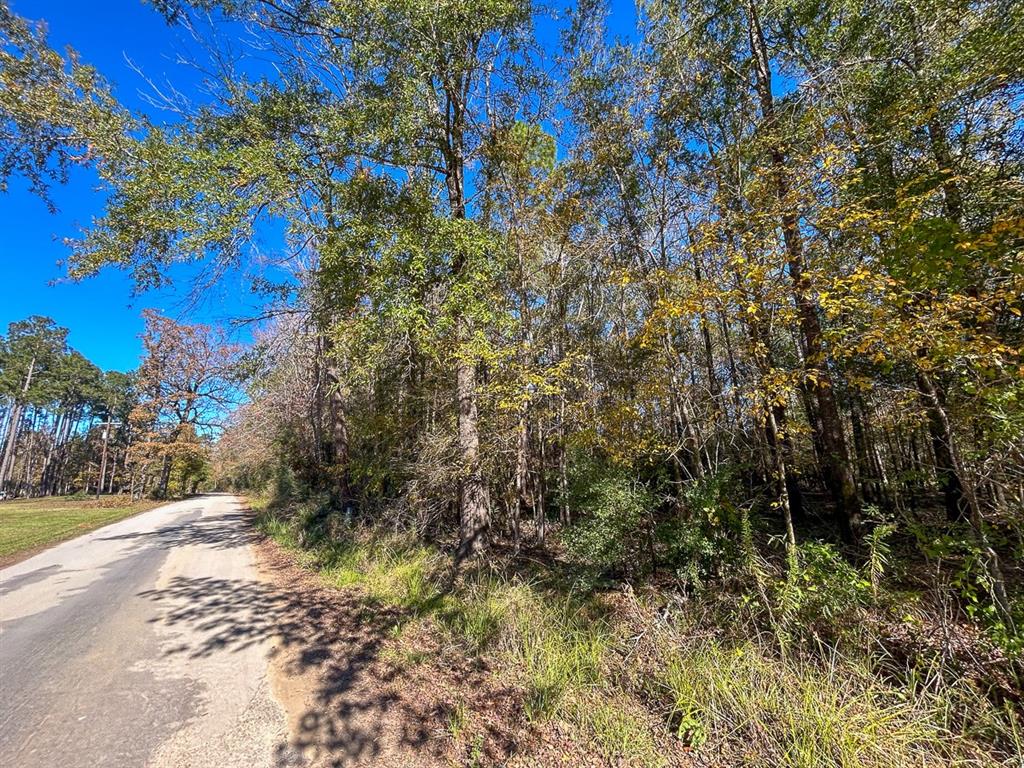 Camp Branch Road, Trinity, Texas image 22