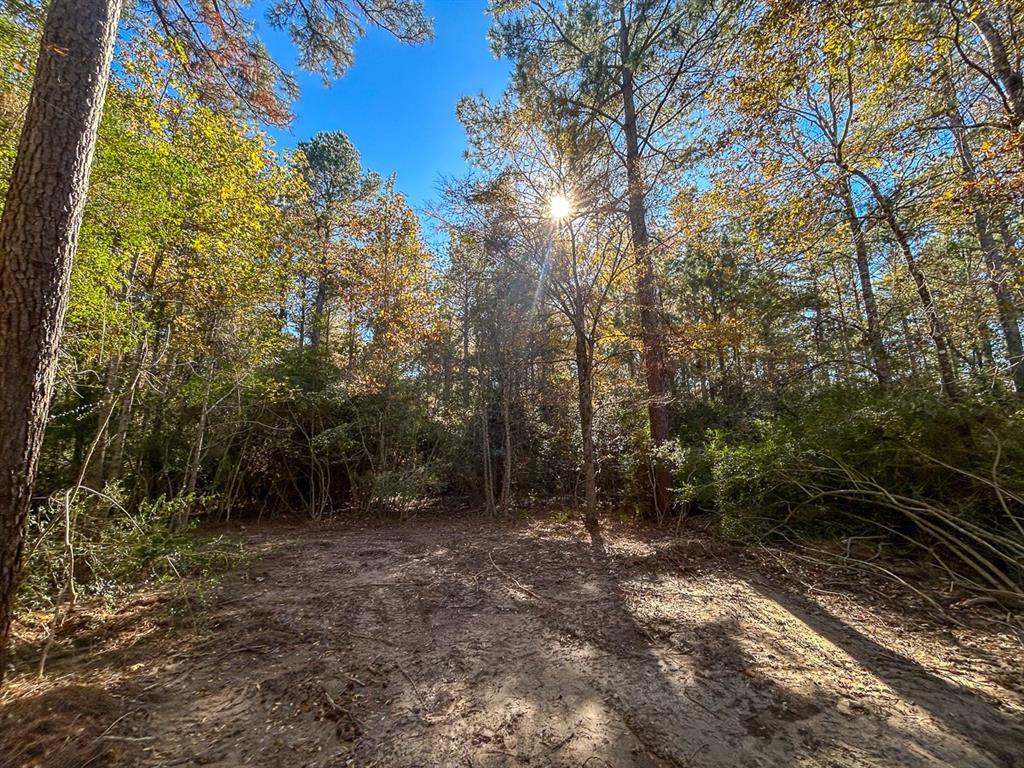 Camp Branch Road, Trinity, Texas image 30