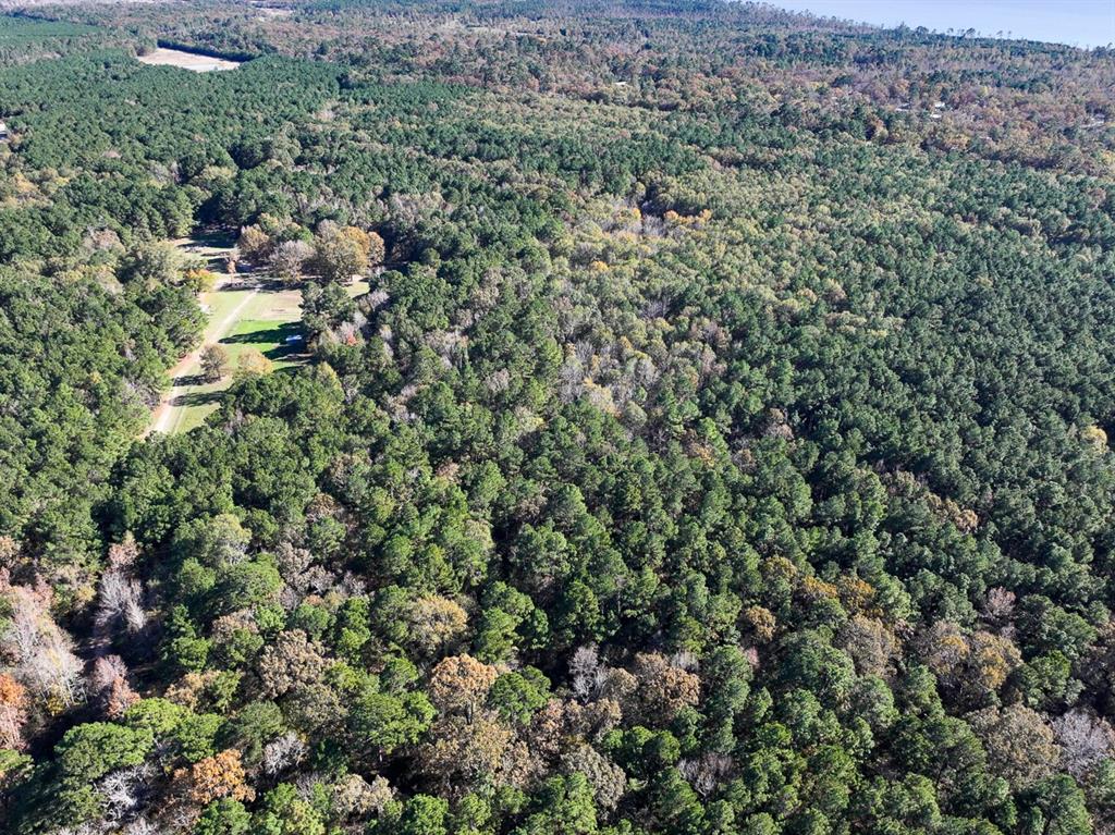 Camp Branch Road, Trinity, Texas image 17